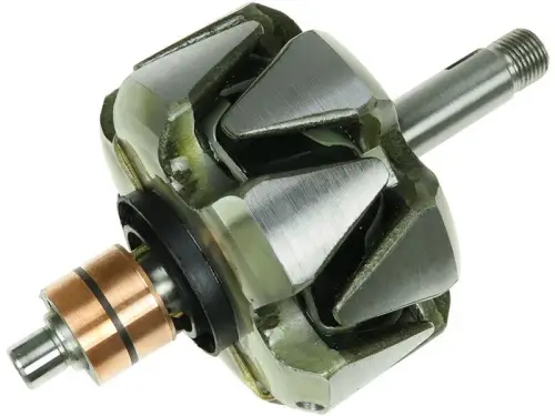 Rotor, alternator