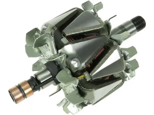 Rotor, alternator