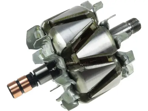 Rotor, alternator