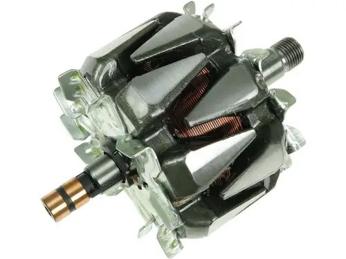 Rotor, alternator