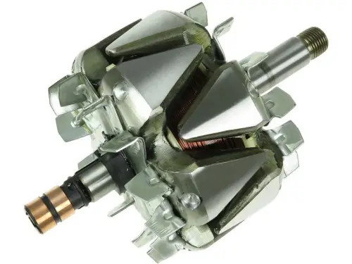 Rotor, alternator