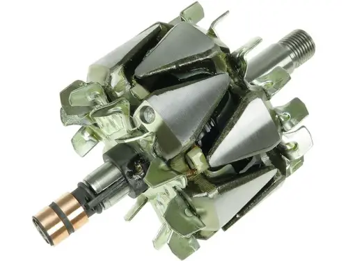 Rotor, alternator