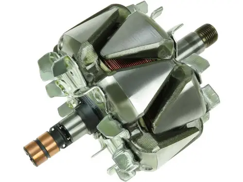 Rotor, alternator