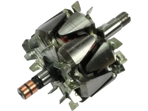 Rotor, alternator