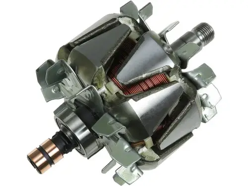 Rotor, alternator