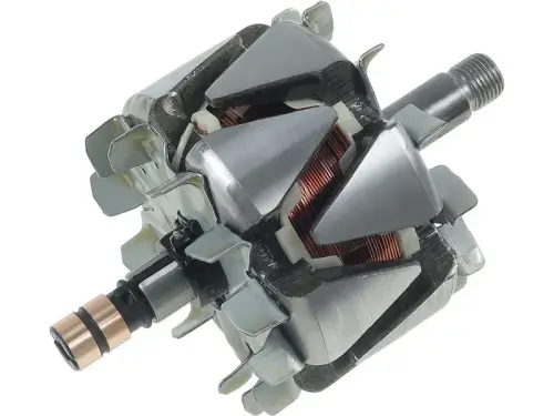 Rotor, alternator