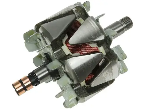Rotor, alternator