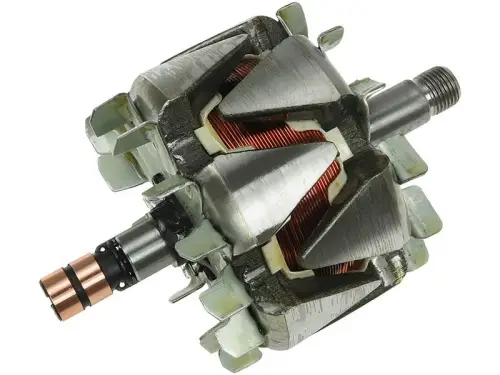 Rotor, alternator