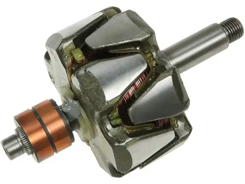 Rotor, alternator