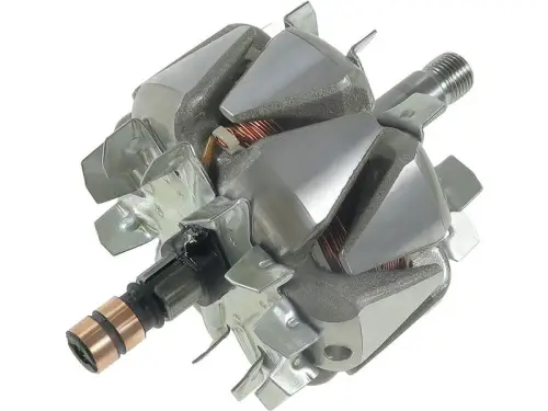 Rotor, alternator