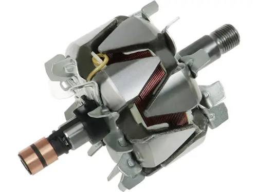 Rotor, alternator