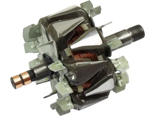 Rotor, alternator