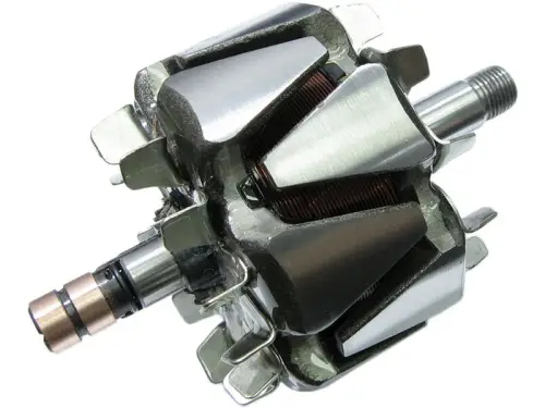 Rotor, alternator