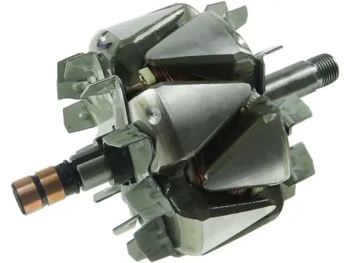 Rotor, alternator