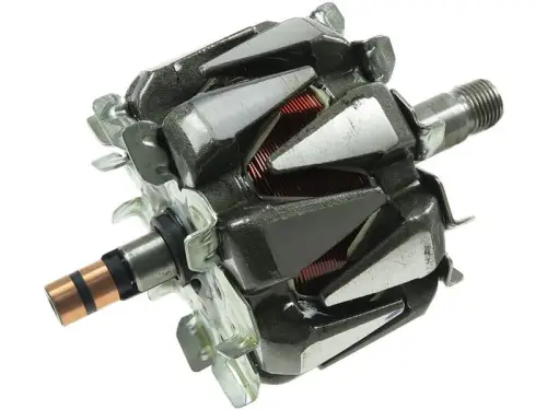Rotor, alternator