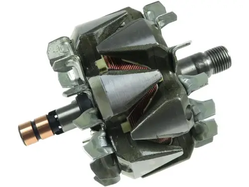 Rotor, alternator