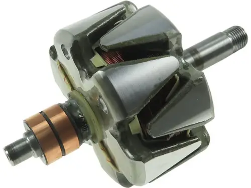 Rotor, alternator