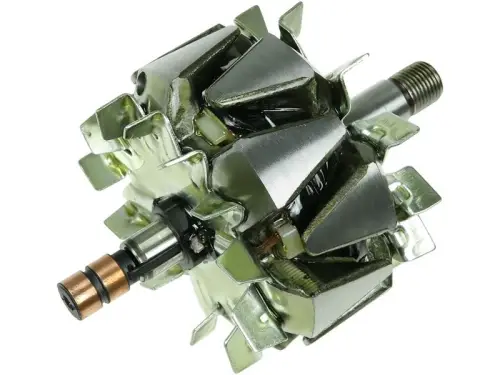 Rotor, alternator