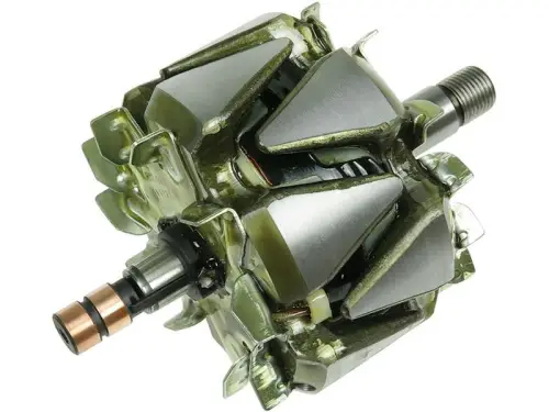 Rotor, alternator