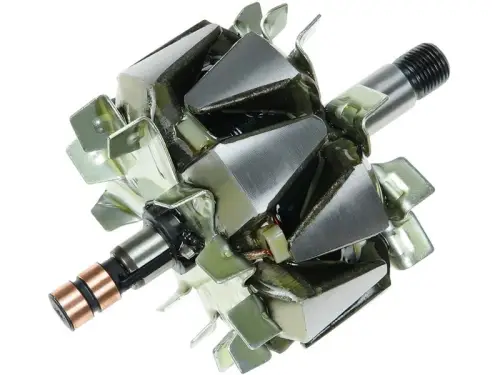 Rotor, alternator