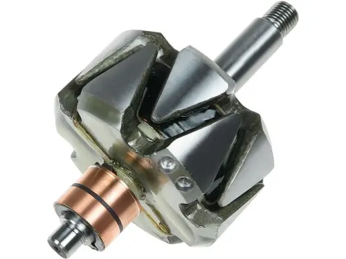 Rotor, alternator