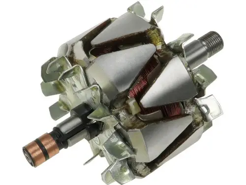 Rotor, alternator