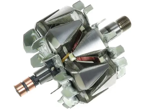 Rotor, alternator