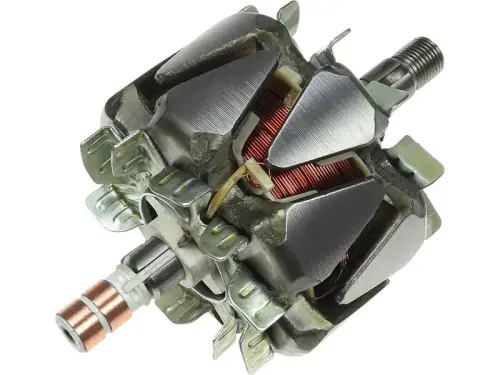 Rotor, alternator