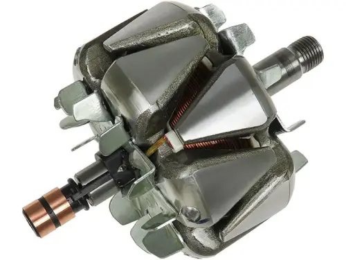 Rotor, alternator