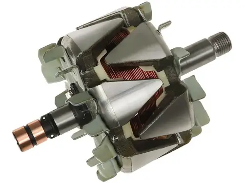 Rotor, alternator