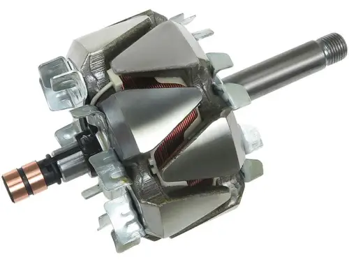 Rotor, alternator