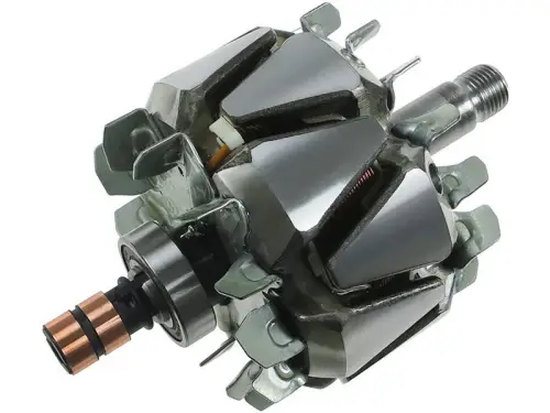 Rotor, alternator