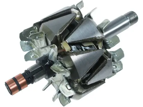 Rotor, alternator