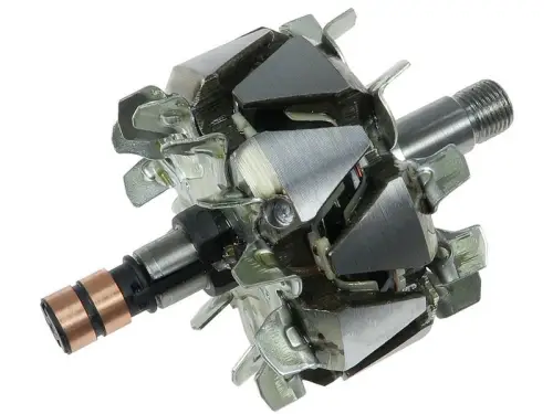 Rotor, alternator