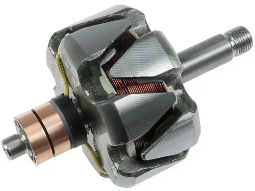 Rotor, alternator