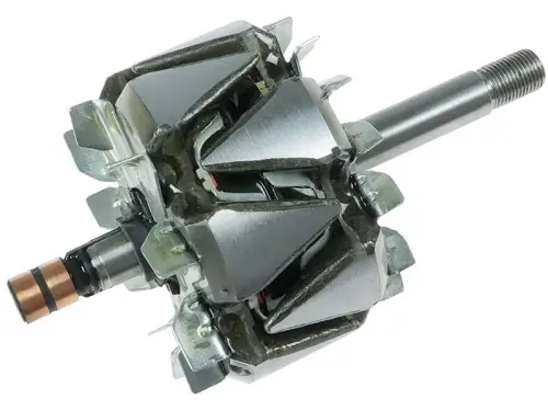 Rotor, alternator