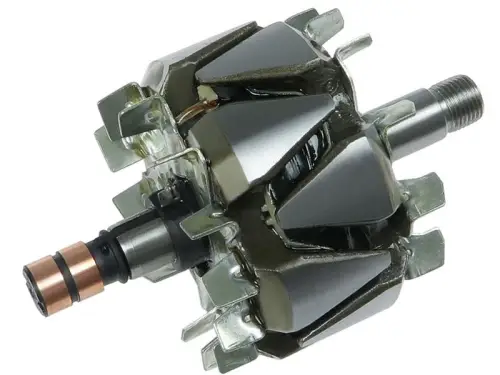 Rotor, alternator