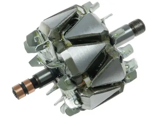 Rotor, alternator