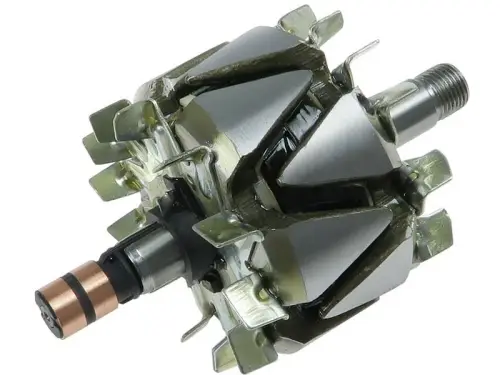 Rotor, alternator