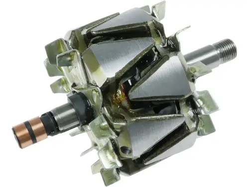 Rotor, alternator