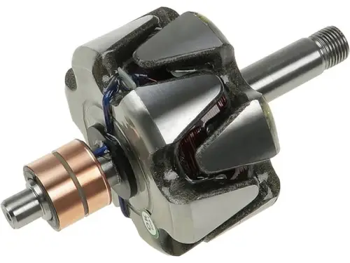 Rotor, alternator