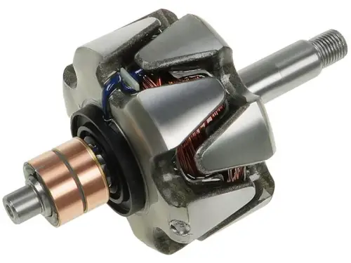Rotor, alternator