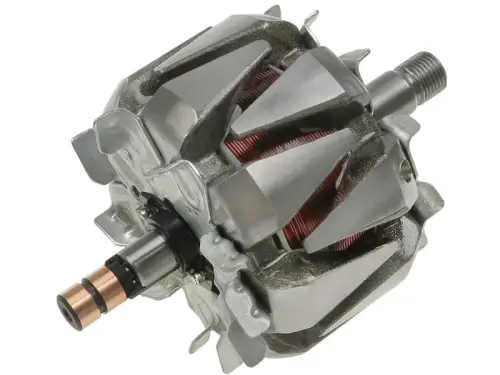 Rotor, alternator