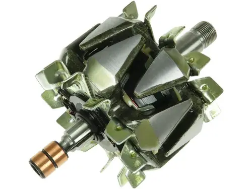 Rotor, alternator