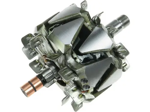 Rotor, alternator