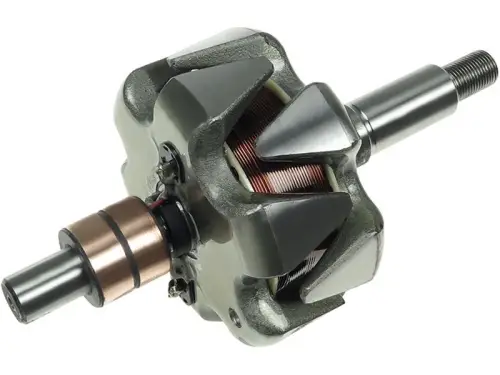 Rotor, alternator