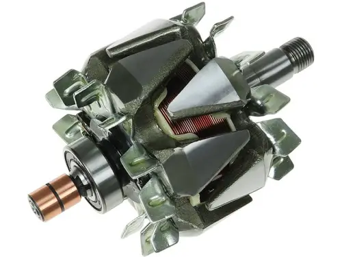 Rotor, alternator
