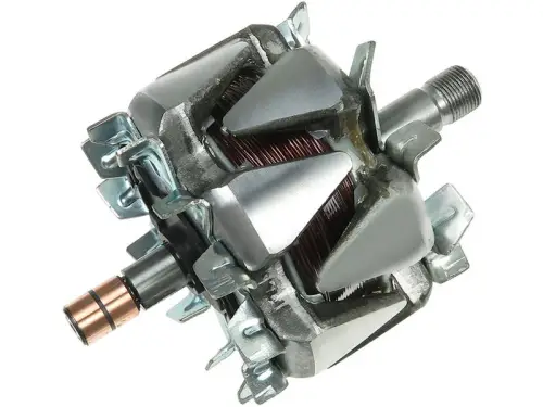 Rotor, alternator