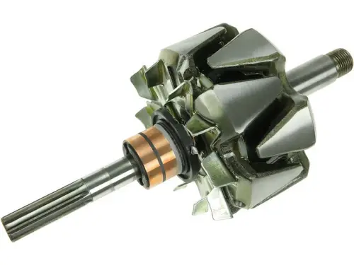 Rotor, alternator