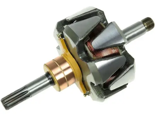 Rotor, alternator